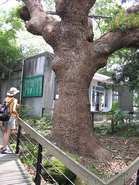 【台北】北投芝山岩半日遊-墾解聚會 @莉莉安小貴婦旅行札記  @莉莉安小貴婦旅行札記