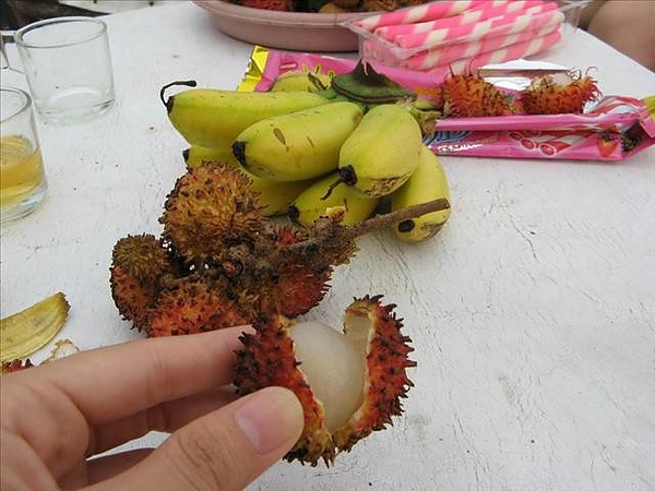 【Cambodia】吳哥窟食物 @莉莉安小貴婦旅行札記 @莉莉安小貴婦旅行札記