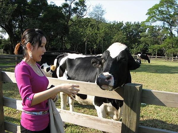 【桃園】埔心牧場半日遊 @莉莉安小貴婦旅行札記  @莉莉安小貴婦旅行札記