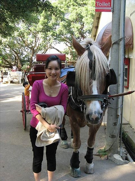【桃園】埔心牧場半日遊 @莉莉安小貴婦旅行札記  @莉莉安小貴婦旅行札記