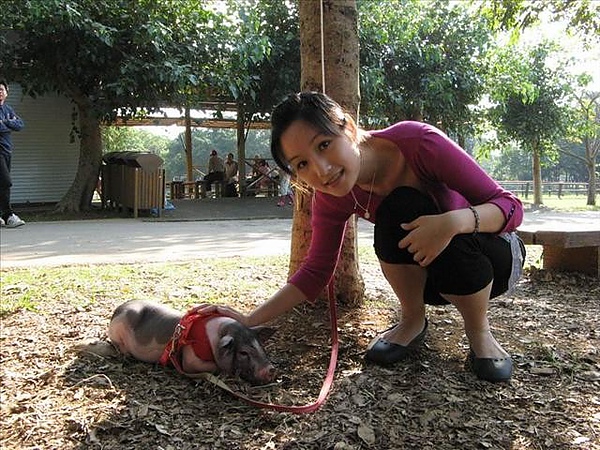 【桃園】埔心牧場半日遊 @莉莉安小貴婦旅行札記  @莉莉安小貴婦旅行札記