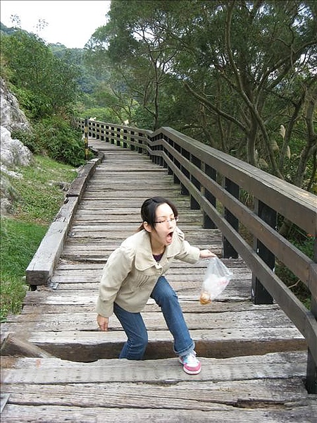 北投,北投貴子坑,台北,台北北投 北投,北投貴子坑,台北,台北北投