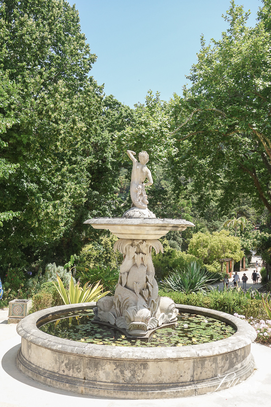 蒙塞拉特宮, Palacio de Monserrate, 辛特拉, 辛特拉推薦景點, sintra葡萄牙, sintra景點, sintra遊記, 葡萄牙自助, 里斯本景點, 葡萄牙行程, 里斯本遊記, lisbon旅遊, 葡萄牙遊記, 里斯本行程, 里斯本自助, lisbon景點