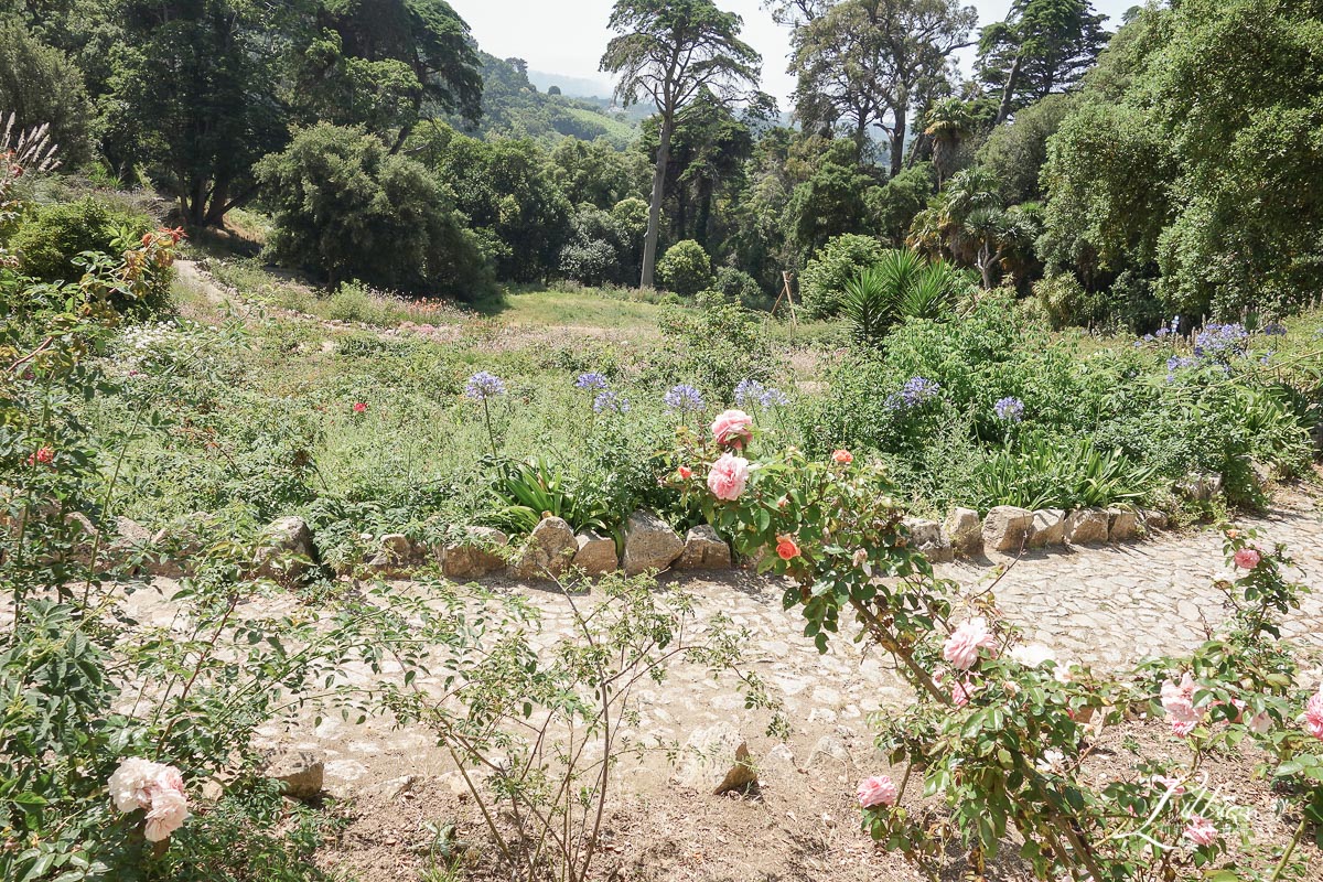 蒙塞拉特宮, Palacio de Monserrate, 辛特拉, 辛特拉推薦景點, sintra葡萄牙, sintra景點, sintra遊記, 葡萄牙自助, 里斯本景點, 葡萄牙行程, 里斯本遊記, lisbon旅遊, 葡萄牙遊記, 里斯本行程, 里斯本自助, lisbon景點