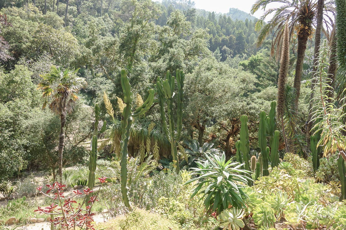 蒙塞拉特宮, Palacio de Monserrate, 辛特拉, 辛特拉推薦景點, sintra葡萄牙, sintra景點, sintra遊記, 葡萄牙自助, 里斯本景點, 葡萄牙行程, 里斯本遊記, lisbon旅遊, 葡萄牙遊記, 里斯本行程, 里斯本自助, lisbon景點