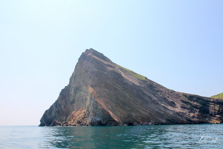 龜山島, 宜蘭龜山島, 宜蘭生態旅行, 親子旅遊, 宜蘭親子旅遊, 宜蘭親子景點, 龜山島登島, 龜山島環島, 宜蘭親子景點推薦, 龜山島賞鯨, KLOOK龜山島行程, 烏石港龜山島