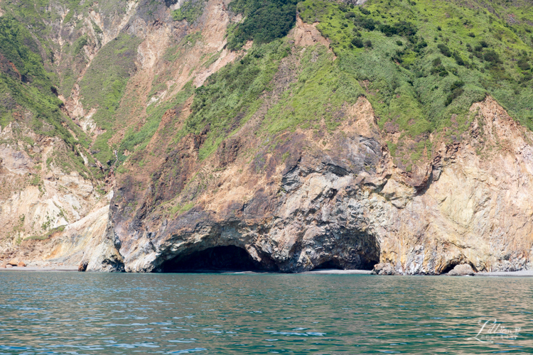 龜山島, 宜蘭龜山島, 宜蘭生態旅行, 親子旅遊, 宜蘭親子旅遊, 宜蘭親子景點, 龜山島登島, 龜山島環島, 宜蘭親子景點推薦, 龜山島賞鯨, KLOOK龜山島行程, 烏石港龜山島