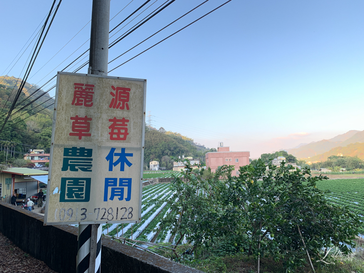 採草莓, 苗栗大湖採草莓, 苗栗大湖草莓, 苗栗草莓, 採草莓推薦, 大湖草莓推薦, 苗栗草莓推薦, 大湖草莓季, 苗栗景點推薦, 苗栗親子, 苗栗親子旅行, 大湖酒莊, 大湖酒莊採草莓, 草莓文化館