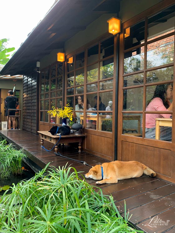 義成伯の麵店, 義成伯麵店, 屏東美食推薦, 里港美食推薦, 屏東里港美食, 網美打卡餐廳, 屏東打卡餐廳, 義成伯麵店菜單, 屏東平價餐廳推薦, 屏東小吃推薦, 屏東麵店推薦, 屏東人氣美食, 屏東美食, 里港美食, 里港景點