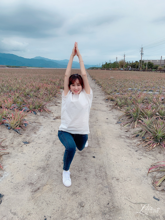 屏東網紅景點, IG打卡, 屏東IG打卡熱點推薦, 屏東必拍景點, 屏東網美景點, 屏東鳳梨田, 屏東IG打卡, 屏東網美