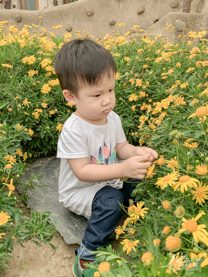 苗栗天空之城, 苗栗景觀餐廳推薦, 苗栗大湖餐廳推薦, 苗栗城堡餐廳, 苗栗大湖景點推薦, 苗栗親子景點, 苗栗親子餐廳推薦, 苗栗景觀餐廳, 大湖親子景點, 大湖親子餐廳, 苗栗旅遊推薦