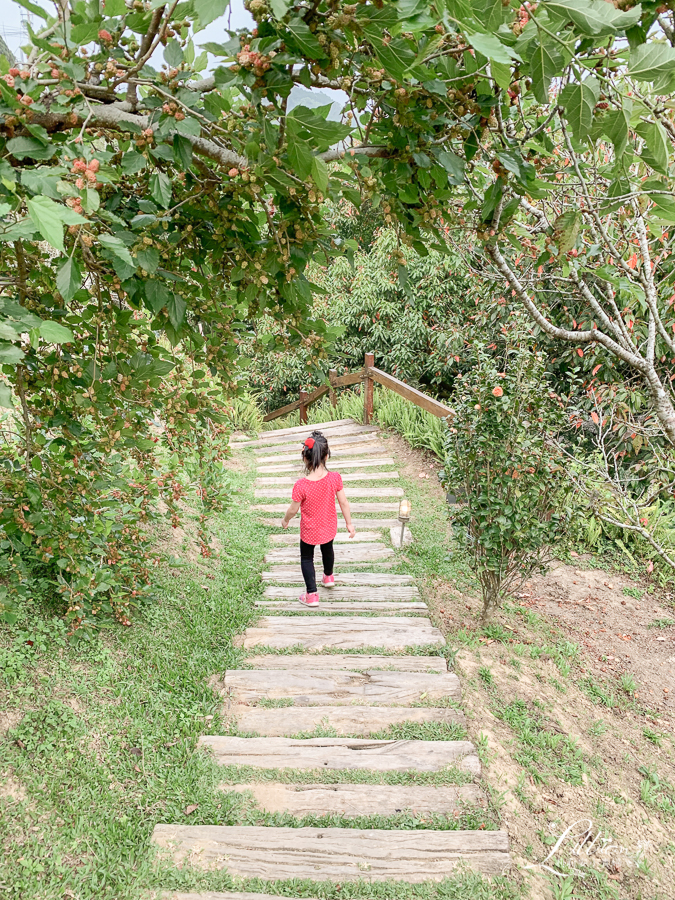 苗栗天空之城, 苗栗景觀餐廳推薦, 苗栗大湖餐廳推薦, 苗栗城堡餐廳, 苗栗大湖景點推薦, 苗栗親子景點, 苗栗親子餐廳推薦, 苗栗景觀餐廳, 大湖親子景點, 大湖親子餐廳, 苗栗旅遊推薦