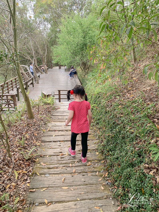 苗栗天空之城, 苗栗景觀餐廳推薦, 苗栗大湖餐廳推薦, 苗栗城堡餐廳, 苗栗大湖景點推薦, 苗栗親子景點, 苗栗親子餐廳推薦, 苗栗景觀餐廳, 大湖親子景點, 大湖親子餐廳, 苗栗旅遊推薦