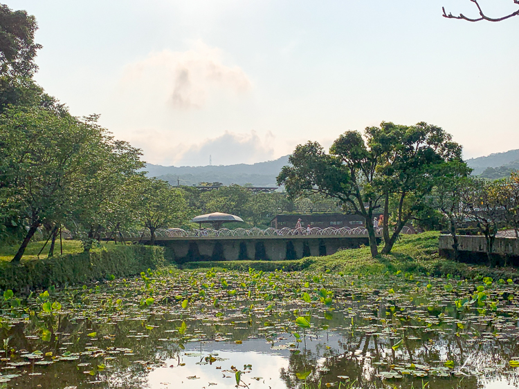 朱銘美術館, 親子景點推薦, 新北親子景點推薦, 新北景點推薦, 夏日戲水景點推薦, 金山景點推薦, 金山親子景點, 美術館推薦, 北海岸景點推薦