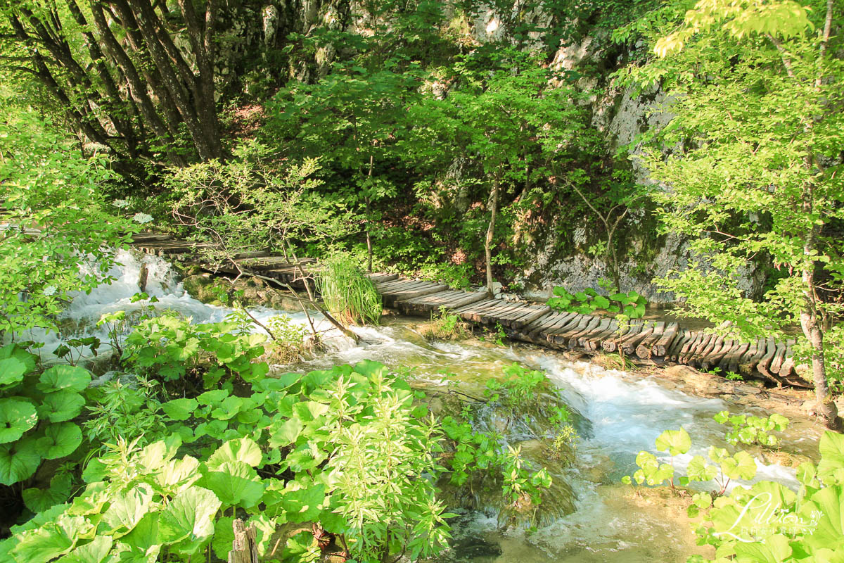 十六湖國家公園懶人包, 十六湖國家公園, 普利特維採湖群國家公園, Nacionalni park Plitvička jezera, 十六湖國家公園攻略, 十六湖國家公園季節, 十六湖國家公園開放時間, 十六湖國家公園門票, 16湖國家公園, 16湖國家公園攻略, 16湖國家公園門票, 16湖國家公園交通, 16湖國家公園路線, 16湖國家公園旅遊, 16湖國家公園地圖, 克羅埃西亞, 克羅埃西亞自由行, 克羅埃西亞旅遊, 克羅埃西亞推薦景點, 克羅埃西亞物價, 十六湖國家公園攻略, 克羅埃西亞十六湖, 十六湖國家公園介紹, 十六湖國家公園上湖區