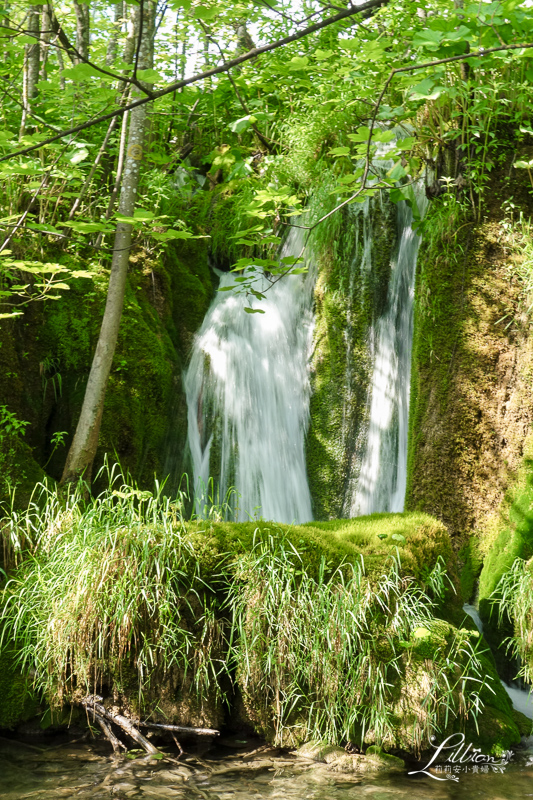 十六湖國家公園懶人包, 十六湖國家公園, 普利特維採湖群國家公園, Nacionalni park Plitvička jezera, 十六湖國家公園攻略, 十六湖國家公園季節, 十六湖國家公園開放時間, 十六湖國家公園門票, 16湖國家公園, 16湖國家公園攻略, 16湖國家公園門票, 16湖國家公園交通, 16湖國家公園路線, 16湖國家公園旅遊, 16湖國家公園地圖, 克羅埃西亞, 克羅埃西亞自由行, 克羅埃西亞旅遊, 克羅埃西亞推薦景點, 克羅埃西亞物價, 十六湖國家公園攻略, 克羅埃西亞十六湖, 十六湖國家公園介紹, 十六湖國家公園上湖區