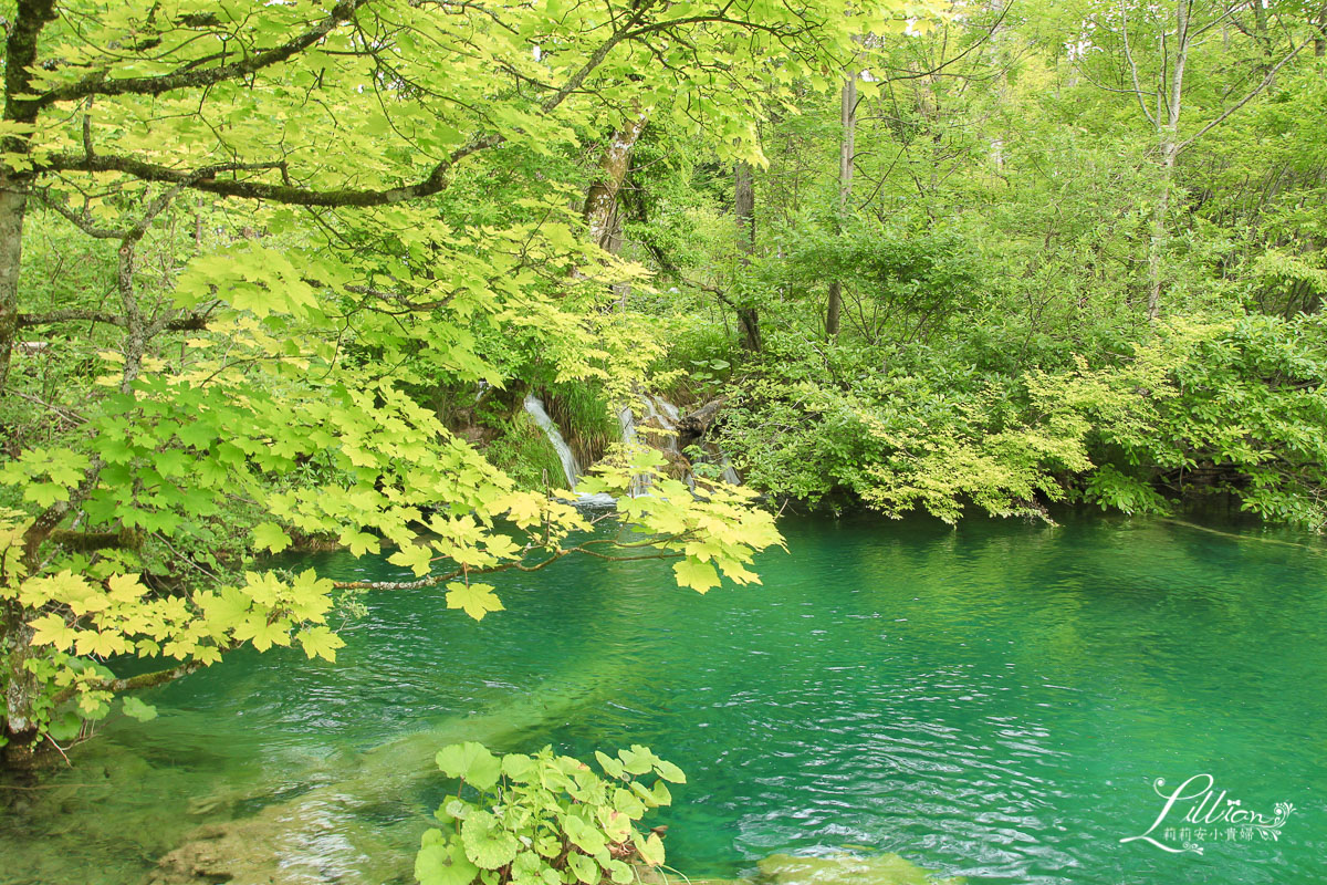 十六湖國家公園懶人包, 十六湖國家公園, 普利特維採湖群國家公園, Nacionalni park Plitvička jezera, 十六湖國家公園攻略, 十六湖國家公園季節, 十六湖國家公園開放時間, 十六湖國家公園門票, 16湖國家公園, 16湖國家公園攻略, 16湖國家公園門票, 16湖國家公園交通, 16湖國家公園路線, 16湖國家公園旅遊, 16湖國家公園地圖, 克羅埃西亞, 克羅埃西亞自由行, 克羅埃西亞旅遊, 克羅埃西亞推薦景點, 克羅埃西亞物價, 十六湖國家公園攻略, 克羅埃西亞十六湖, 十六湖國家公園介紹, 十六湖國家公園上湖區