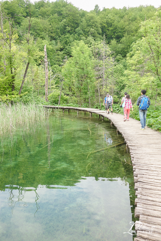 十六湖國家公園懶人包, 十六湖國家公園, 普利特維採湖群國家公園, Nacionalni park Plitvička jezera, 十六湖國家公園攻略, 十六湖國家公園季節, 十六湖國家公園開放時間, 十六湖國家公園門票, 16湖國家公園, 16湖國家公園攻略, 16湖國家公園門票, 16湖國家公園交通, 16湖國家公園路線, 16湖國家公園旅遊, 16湖國家公園地圖, 克羅埃西亞, 克羅埃西亞自由行, 克羅埃西亞旅遊, 克羅埃西亞推薦景點, 克羅埃西亞物價, 十六湖國家公園攻略, 克羅埃西亞十六湖, 十六湖國家公園介紹, 十六湖國家公園上湖區