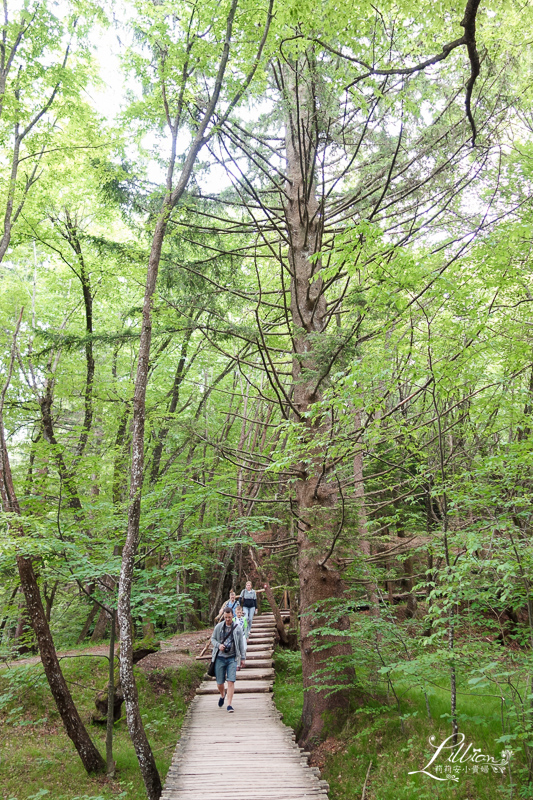 十六湖國家公園懶人包, 十六湖國家公園, 普利特維採湖群國家公園, Nacionalni park Plitvička jezera, 十六湖國家公園攻略, 十六湖國家公園季節, 十六湖國家公園開放時間, 十六湖國家公園門票, 16湖國家公園, 16湖國家公園攻略, 16湖國家公園門票, 16湖國家公園交通, 16湖國家公園路線, 16湖國家公園旅遊, 16湖國家公園地圖, 克羅埃西亞, 克羅埃西亞自由行, 克羅埃西亞旅遊, 克羅埃西亞推薦景點, 克羅埃西亞物價, 十六湖國家公園攻略, 克羅埃西亞十六湖, 十六湖國家公園介紹, 十六湖國家公園上湖區