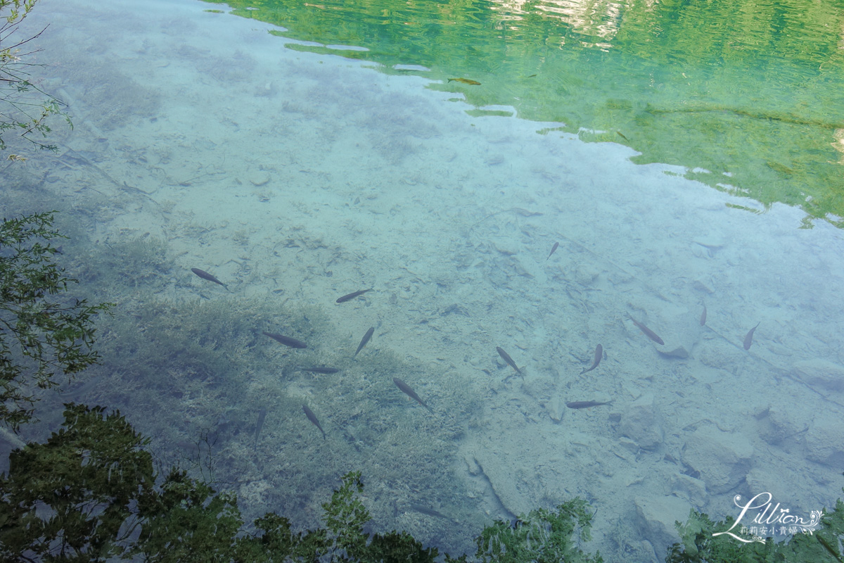 十六湖國家公園懶人包, 十六湖國家公園, 普利特維採湖群國家公園, Nacionalni park Plitvička jezera, 十六湖國家公園攻略, 十六湖國家公園季節, 十六湖國家公園開放時間, 十六湖國家公園門票, 16湖國家公園, 16湖國家公園攻略, 16湖國家公園門票, 16湖國家公園交通, 16湖國家公園路線, 16湖國家公園旅遊, 16湖國家公園地圖, 克羅埃西亞, 克羅埃西亞自由行, 克羅埃西亞旅遊, 克羅埃西亞推薦景點, 克羅埃西亞物價, 十六湖國家公園攻略, 克羅埃西亞十六湖, 十六湖國家公園介紹, 十六湖國家公園下湖區