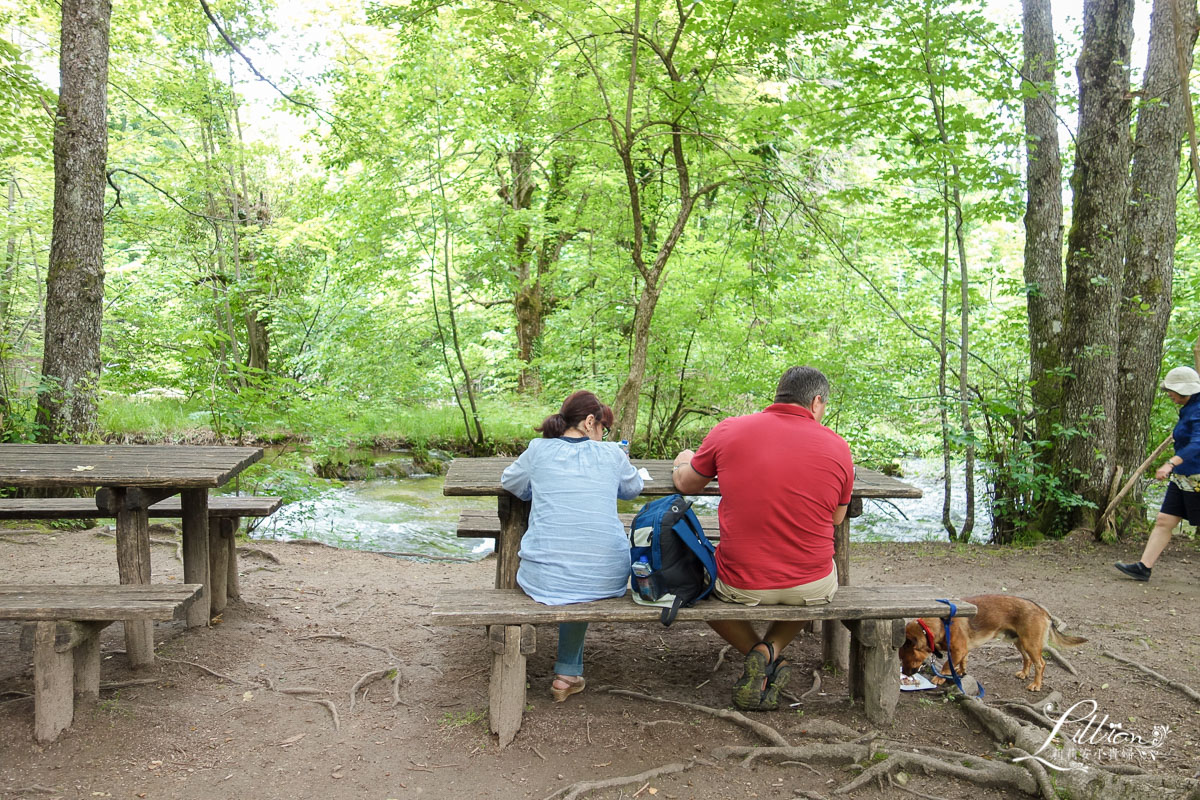 十六湖國家公園懶人包, 十六湖國家公園, 普利特維採湖群國家公園, Nacionalni park Plitvička jezera, 十六湖國家公園攻略, 十六湖國家公園季節, 十六湖國家公園開放時間, 十六湖國家公園門票, 16湖國家公園, 16湖國家公園攻略, 16湖國家公園門票, 16湖國家公園交通, 16湖國家公園路線, 16湖國家公園旅遊, 16湖國家公園地圖, 克羅埃西亞, 克羅埃西亞自由行, 克羅埃西亞旅遊, 克羅埃西亞推薦景點, 克羅埃西亞物價, 十六湖國家公園攻略, 克羅埃西亞十六湖, 十六湖國家公園介紹, 十六湖國家公園上湖區