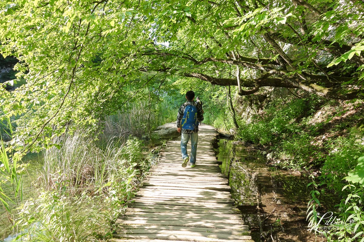 十六湖國家公園懶人包, 十六湖國家公園, 普利特維採湖群國家公園, Nacionalni park Plitvička jezera, 十六湖國家公園攻略, 十六湖國家公園季節, 十六湖國家公園開放時間, 十六湖國家公園門票, 16湖國家公園, 16湖國家公園攻略, 16湖國家公園門票, 16湖國家公園交通, 16湖國家公園路線, 16湖國家公園旅遊, 16湖國家公園地圖, 克羅埃西亞, 克羅埃西亞自由行, 克羅埃西亞旅遊, 克羅埃西亞推薦景點, 克羅埃西亞物價, 十六湖國家公園攻略, 克羅埃西亞十六湖, 十六湖國家公園介紹, 十六湖國家公園下湖區