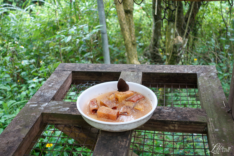 綠世界, 新竹親子景點推薦, 新竹農場推薦, 新竹旅遊景點推薦, 新竹親子旅遊景點推薦, 新竹綠世界門票, 北埔景點推薦, 新竹一日遊推薦, 綠世界生態農場, 新竹親子一日遊路線