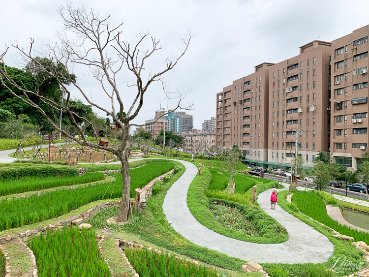 大有梯田生態公園, 桃園親子景點推薦, 桃園親子公園推薦, 桃園市公園推薦, 桃園遊戲區推薦, 桃園週末景點推薦