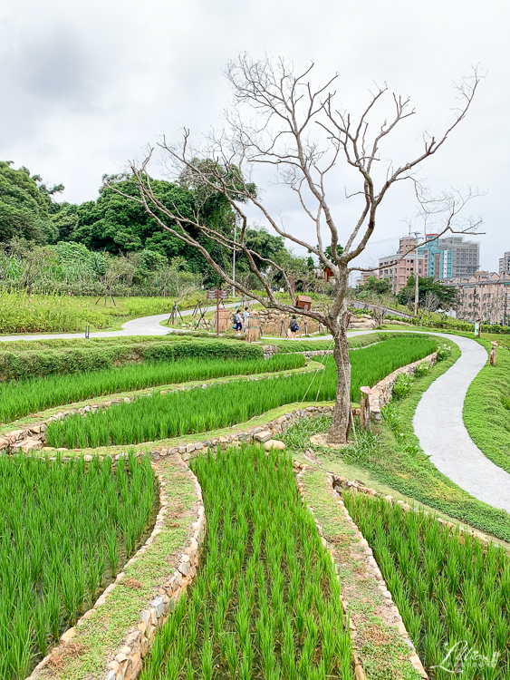 大有梯田生態公園, 桃園親子景點推薦, 桃園親子公園推薦, 桃園市公園推薦, 桃園遊戲區推薦, 桃園週末景點推薦