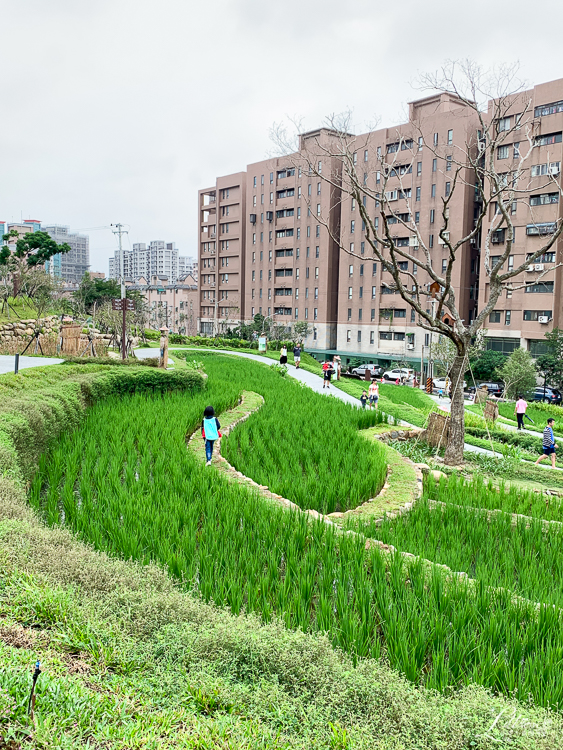 大有梯田生態公園, 桃園親子景點推薦, 桃園親子公園推薦, 桃園市公園推薦, 桃園遊戲區推薦, 桃園週末景點推薦