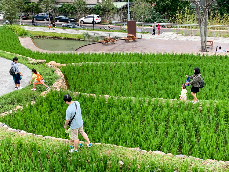 大有梯田生態公園, 桃園親子景點推薦, 桃園親子公園推薦, 桃園市公園推薦, 桃園遊戲區推薦, 桃園週末景點推薦