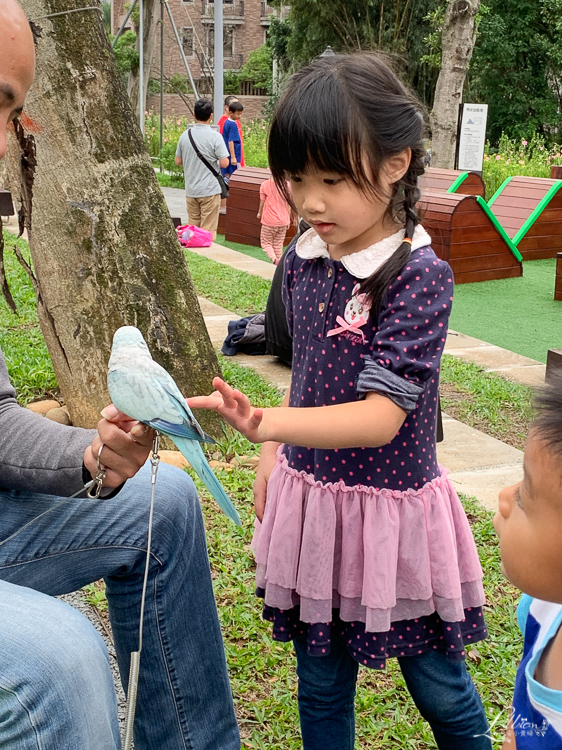 大有梯田生態公園, 桃園親子景點推薦, 桃園親子公園推薦, 桃園市公園推薦, 桃園遊戲區推薦, 桃園週末景點推薦