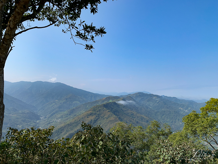 相思園景觀露營區, 新竹尖石星空帳推薦, 新竹尖石露營區推薦, 全透明星空帳, 新竹露營區推薦, 親子露營場地推薦, 相思園露營評價, 相思園露營區路況, 景觀露營區推薦, 親子旅遊推薦, 親子住宿推薦, 新竹親子一日遊路線