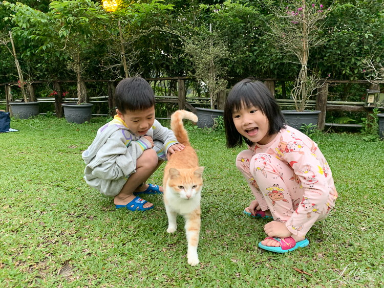 土牧驛健康農莊, 土牧驛露營區, 泰安民宿推薦, 苗栗民宿推薦, 苗栗親子旅遊, 苗栗親子露營推薦, 土牧驛, 原住民風味餐, 泰雅部落, 苗栗旅遊, 苗栗民宿, 苗栗露營, 泰安旅遊, 泰安住宿推薦, 親子旅遊, 輕旅行