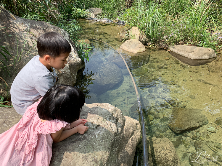 土牧驛健康農莊, 土牧驛露營區, 泰安民宿推薦, 苗栗民宿推薦, 苗栗親子旅遊, 苗栗親子露營推薦, 土牧驛, 原住民風味餐, 泰雅部落, 苗栗旅遊, 苗栗民宿, 苗栗露營, 泰安旅遊, 泰安住宿推薦, 親子旅遊, 輕旅行