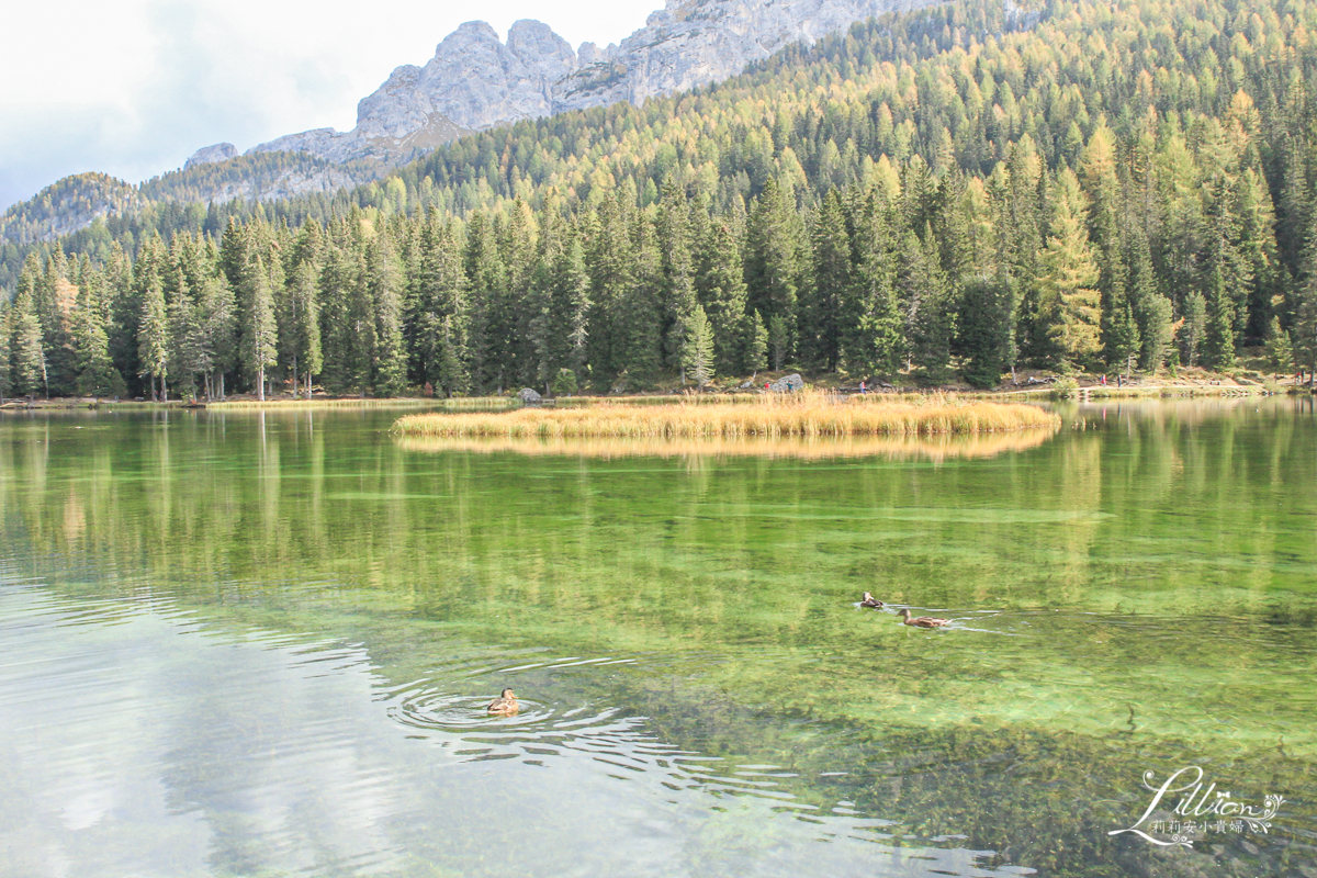 Cortina d'Ampezzo, 多洛米蒂, Dolomiti, 義大利自助旅行, Lago di Misurina, 米蘇里娜湖, 阿爾卑斯山, 多洛米蒂湖邊餐廳推薦, 多洛米蒂景點推薦, Cima Tofana, 義大利滑雪推薦, 冬季奧運, 義大利度假推薦