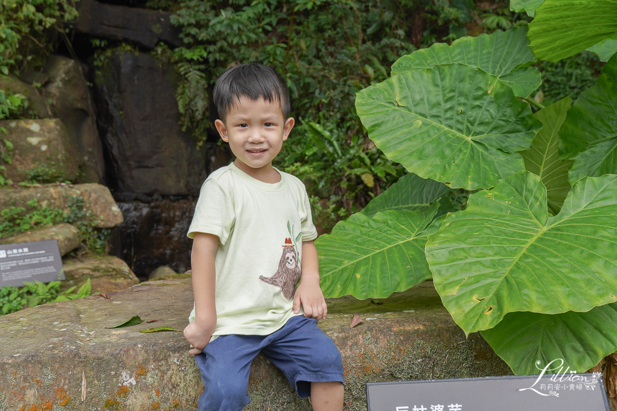 Uneed嬰幼兒童裝, 抗菌兒童衣物, 抗敏感嬰幼兒衣物, 氧化鋅嬰幼兒衣物,有機棉嬰幼兒衣物, 機能童裝推薦, Uneed兒童, 透氣童裝