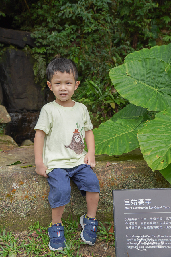 Uneed嬰幼兒童裝, 抗菌兒童衣物, 抗敏感嬰幼兒衣物, 氧化鋅嬰幼兒衣物,有機棉嬰幼兒衣物, 機能童裝推薦, Uneed兒童, 透氣童裝