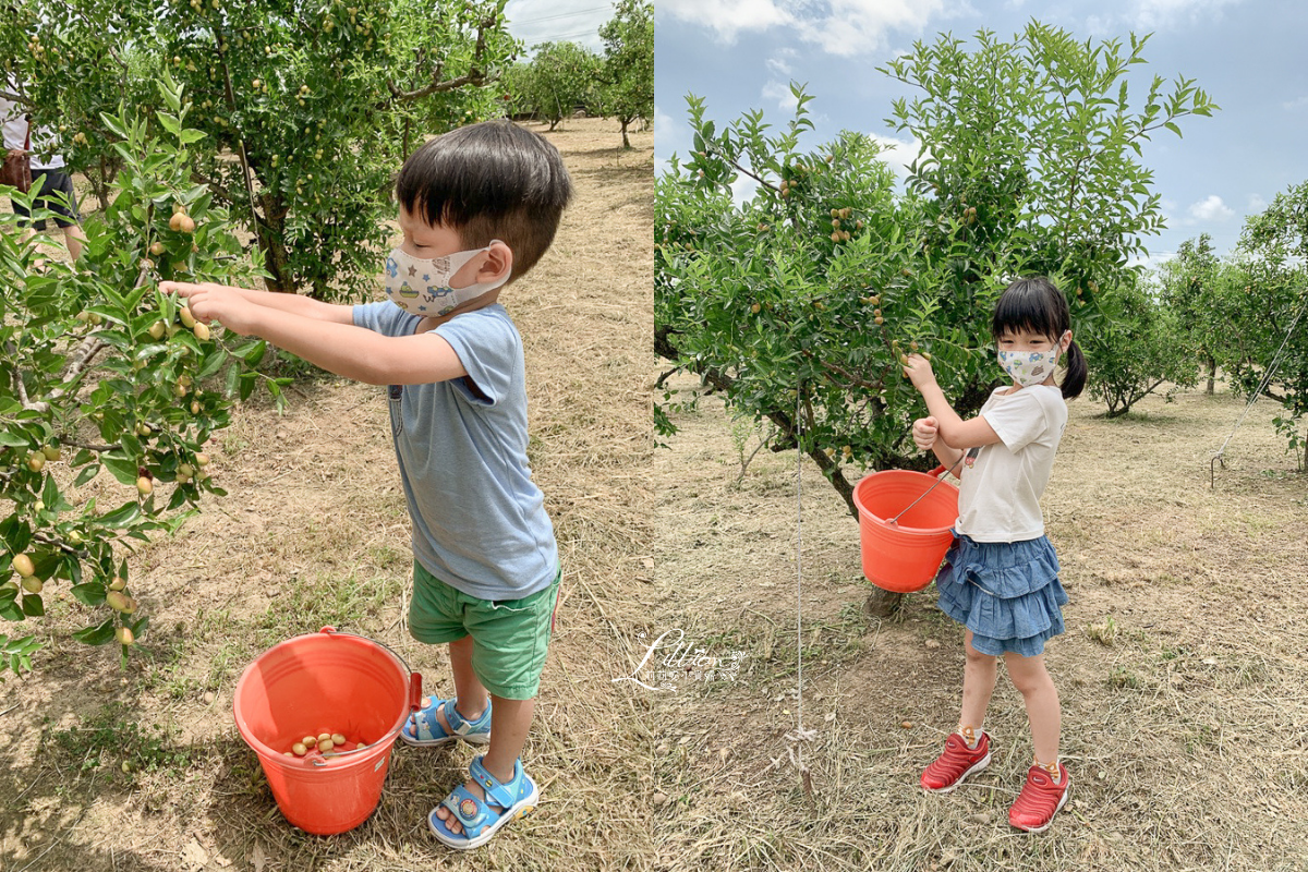 2022花蓮食農博覽會, 食農教育, 食農體驗DIY, 親子手作料理, 花蓮