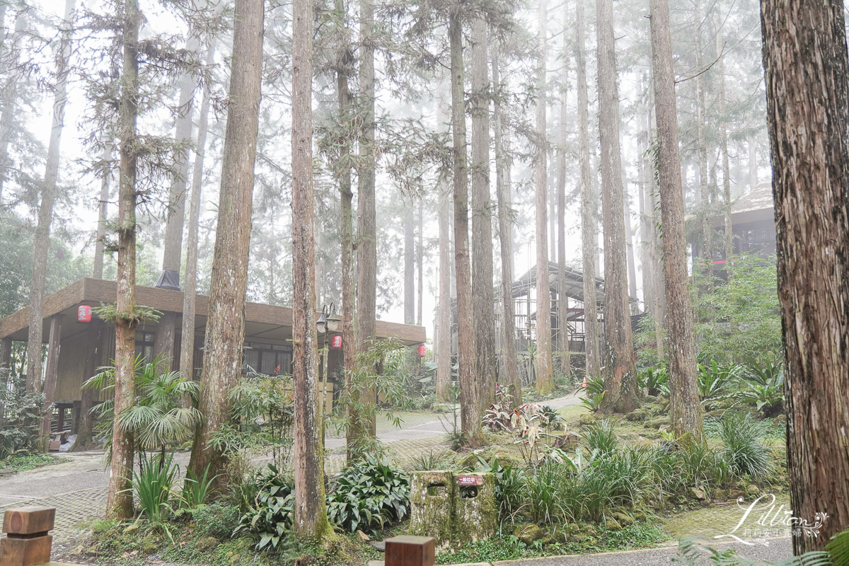 妖怪主題飯店, 明山森林會館, 鹿谷親子旅館推薦, 鹿谷親子飯店推薦, 溪頭親子旅館推薦, 溪頭親子飯店推薦, 溪頭小木屋推薦, 南投親子旅館推薦, 南投親子飯店推薦, 溪頭住宿推薦, 杉林溪住宿推薦, 日月潭住宿推薦, 南投, 妖怪松林町