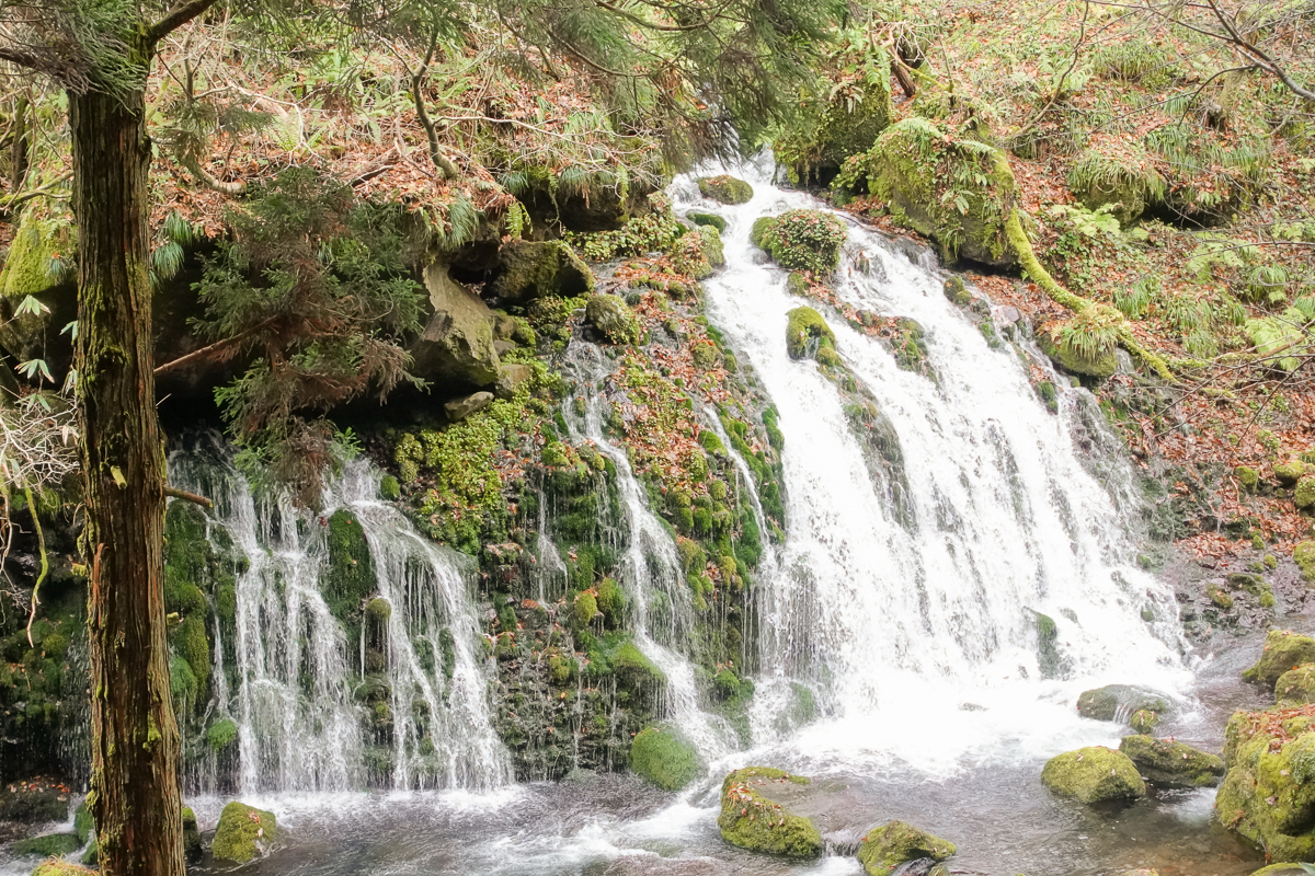 日本東北自助旅行, 秋田縣自助旅行, 秋田縣行程規劃, 秋田縣懶人包, 秋田縣景點推薦, 秋田縣美食推薦, 秋田縣租車推薦, 秋田縣自駕, 秋田縣住宿推薦, 秋田縣旅館推薦, 秋田縣飯店推薦, 男鹿真山伝承館, 秋田犬会館, 大湯環狀列石, 鳥海山木のおもちゃ美術館, 鳥海山木的玩具美術館, 土田家住宅, 元滝伏流水, 元瀧伏流水, 角館武家屋敷群, 大湯ストーンサークル館, 無限堂(稲庭うどん),稻庭烏龍麵 無限堂, 秋田比内や 大館本店, 秋田比內屋 大館本店, ババヘラアイス, 婆婆玫瑰冰, 清吉そば, 清吉蕎麥麵, Grand Park Hotel Odate, 大館市格蘭德公園酒店, Hotel Folkloro Kakunodate, 角館民宿酒店, Wanoi Kakunodate, 和之居 角館, Hotel Metropolitan Akita, 秋田大都會酒店, Akita Castle Hotel, 秋田城堡酒店, 日産レンタカー, 日產汽車租賃