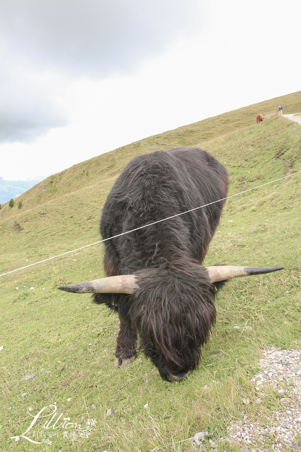 Funivie Seceda Spa, Baita Sofie Hütte, Gruppo delle Odle, Odle山峰, Ortisei餐廳推薦, Ortisei健行纜車, Ortisei咖啡館推薦, Ortisei景點推薦, Ortisei滑雪纜車, Ortisei纜車推薦, Seceda, South Tyrol, 南提洛爾, 多洛米蒂, 多洛米蒂Dolomiti, 多洛米蒂纜車, 多洛米蒂自由行, 多羅米提, 白馬飯店, 維洛納, 義大利世界遺產, 義大利推薦景點, 義大利自助旅行, 義大利阿爾卑斯山