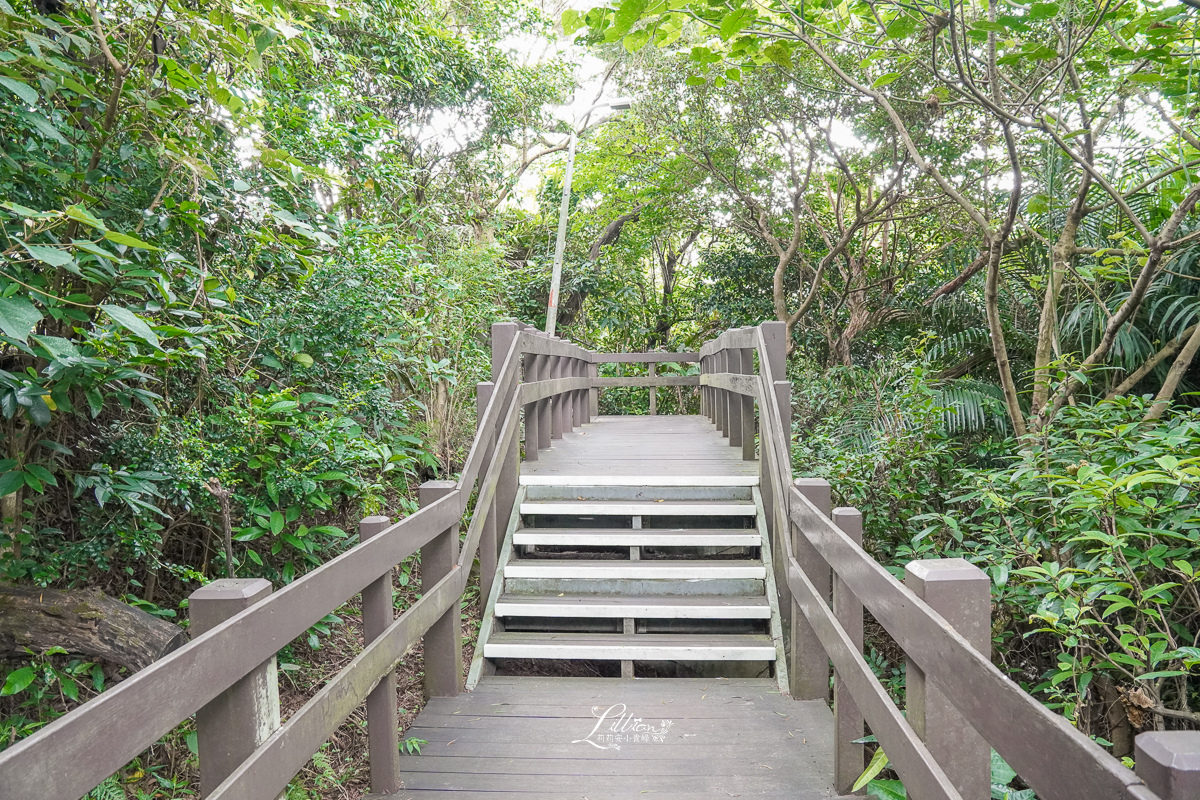 台北市步道推薦, 虎山自然步道, 台北親子步道推薦, 台北網美打卡景點, 虎山自然步道交通方式, 虎山自然步道路線, 台北市看螢火蟲景點, 台北市看獨角仙景點, 四獸山步道, 台北森林步道推薦, 松山慈惠堂, 台北親子森林步道推薦, 虎山自然步道停車場, 四獸山市民森林, 虎山溪步道