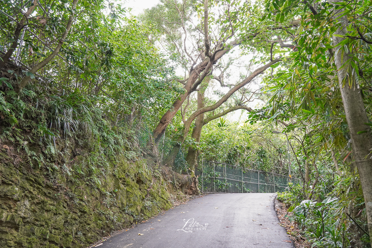 台北市步道推薦, 虎山自然步道, 台北親子步道推薦, 台北網美打卡景點, 虎山自然步道交通方式, 虎山自然步道路線, 台北市看螢火蟲景點, 台北市看獨角仙景點, 四獸山步道, 台北森林步道推薦, 松山慈惠堂, 台北親子森林步道推薦, 虎山自然步道停車場, 四獸山市民森林, 虎山溪步道