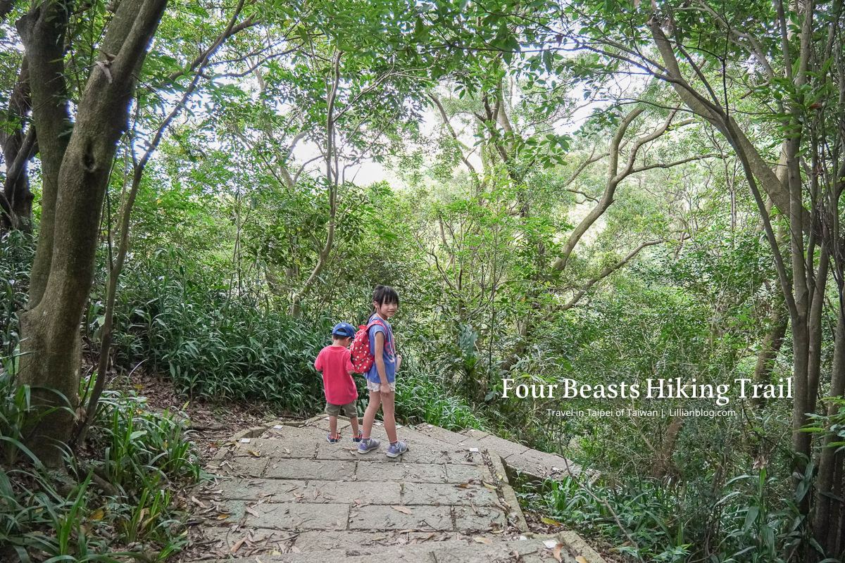 台北市步道推薦, 虎山自然步道, 台北親子步道推薦, 台北網美打卡景點, 虎山自然步道交通方式, 虎山自然步道路線, 台北市看螢火蟲景點, 台北市看獨角仙景點, 四獸山步道, 台北森林步道推薦, 松山慈惠堂, 台北親子森林步道推薦, 虎山自然步道停車場, 四獸山市民森林, 虎山溪步道