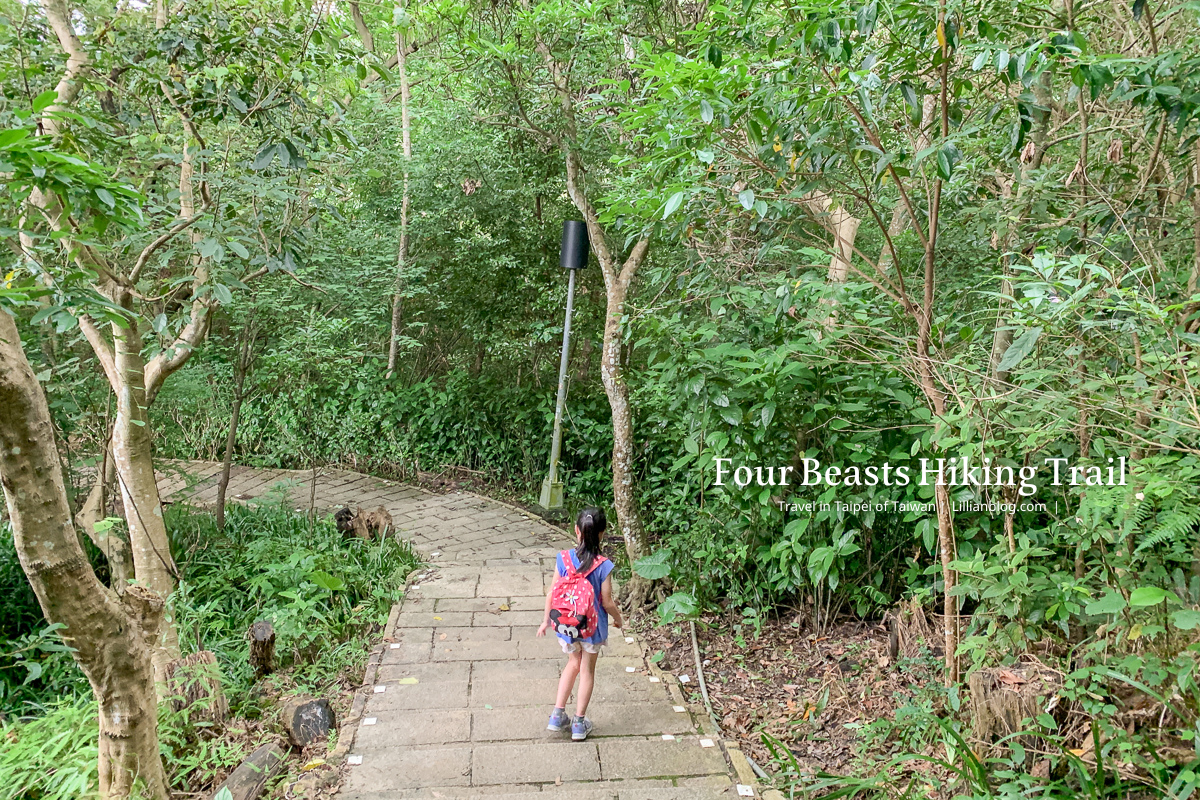 台北市步道推薦, 虎山自然步道, 台北親子步道推薦, 台北網美打卡景點, 虎山自然步道交通方式, 虎山自然步道路線, 台北市看螢火蟲景點, 台北市看獨角仙景點, 四獸山步道, 台北森林步道推薦, 松山慈惠堂, 台北親子森林步道推薦, 虎山自然步道停車場, 四獸山市民森林, 虎山溪步道