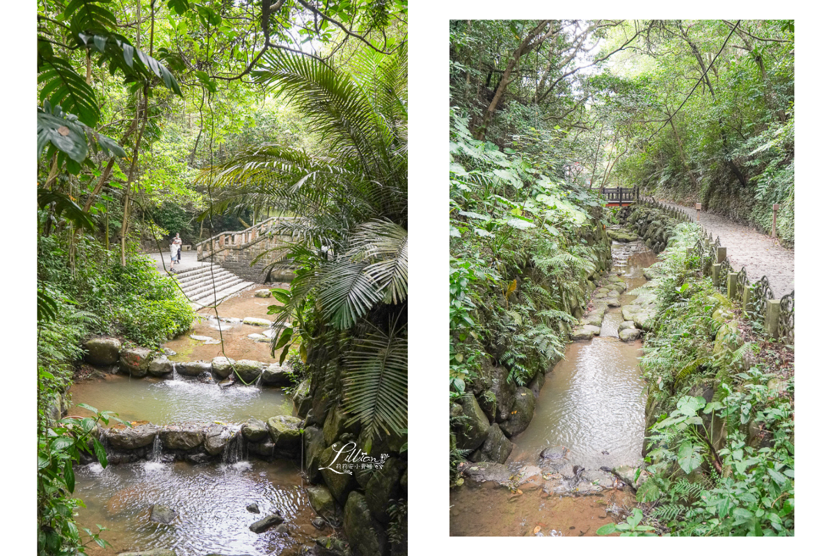 台北市步道推薦, 虎山自然步道, 台北親子步道推薦, 台北網美打卡景點, 虎山自然步道交通方式, 虎山自然步道路線, 台北市看螢火蟲景點, 台北市看獨角仙景點, 四獸山步道, 台北森林步道推薦, 松山慈惠堂, 台北親子森林步道推薦, 虎山自然步道停車場, 四獸山市民森林, 虎山溪步道