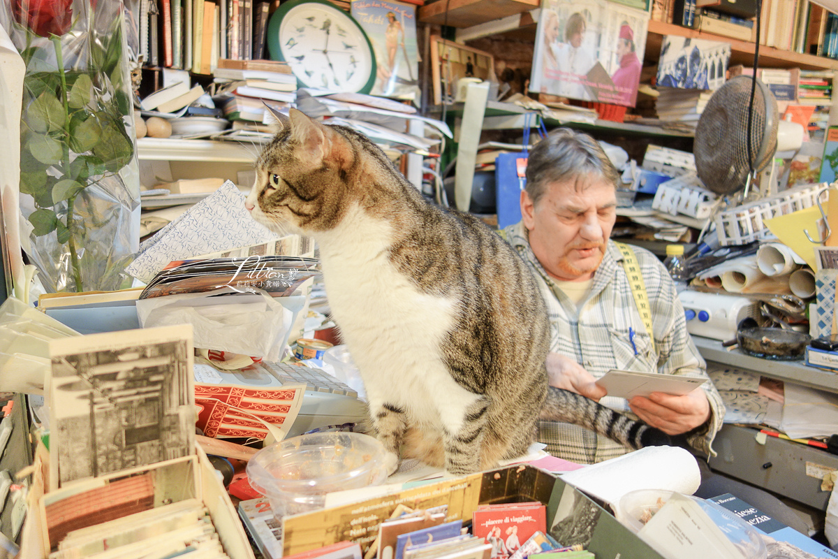 Libreria Acqua Alta, 沉船書店, 威尼斯, 威尼斯推薦景點, 威尼斯必去, 威尼斯旅遊, 威尼斯自助旅行, 威尼斯自助游, 威尼斯自助行, 威尼斯自助行程, 威尼斯行程, 威尼斯親子旅行, 威尼斯親子自助旅行, 意大利, 威尼斯旅行攻略, 義大利旅行攻略, 威尼斯行程規劃, 威尼斯景點, 義大利, 義大利威尼斯, 義大利親子旅行, 義大利親子自助旅行, 威尼斯本島景點推薦