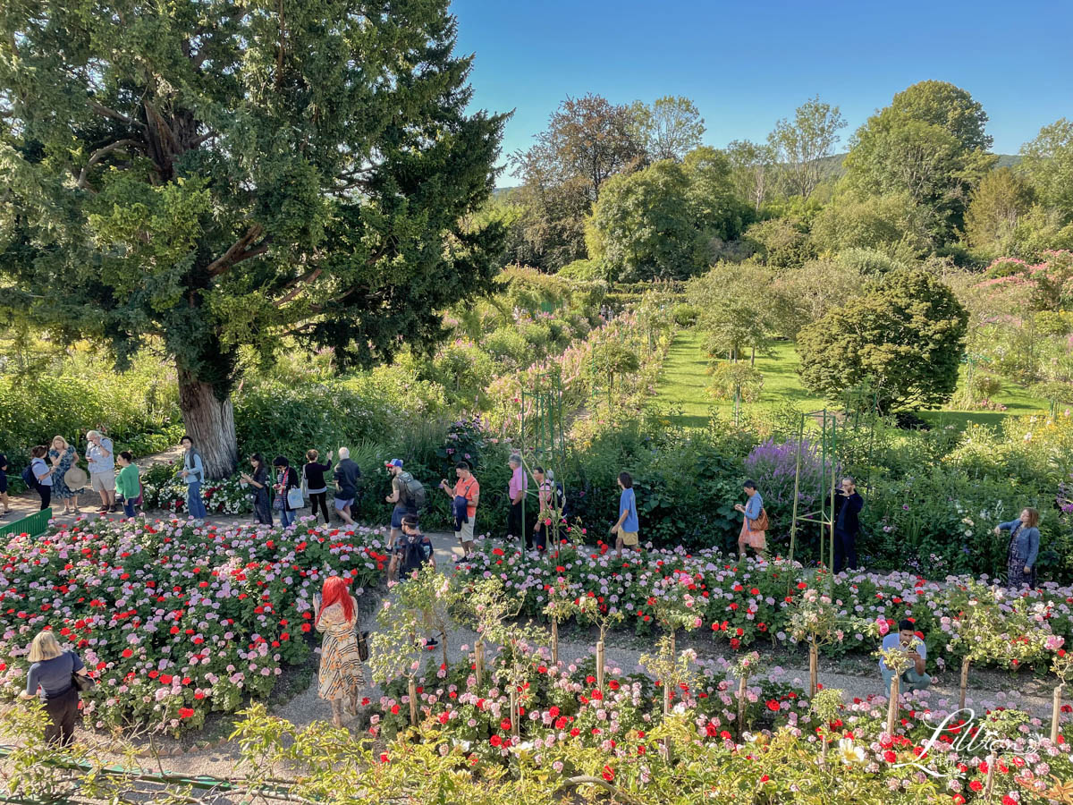 莫內故居, 莫內花園, 莫內睡蓮, 印象派大師, 莫內Claude Monet, 巴黎景點推薦,法國景點推薦, 巴黎近郊景點推薦, 吉維尼Giverny, 莫內花園交通, 莫內花園購票, 莫內花園攻略, 法國