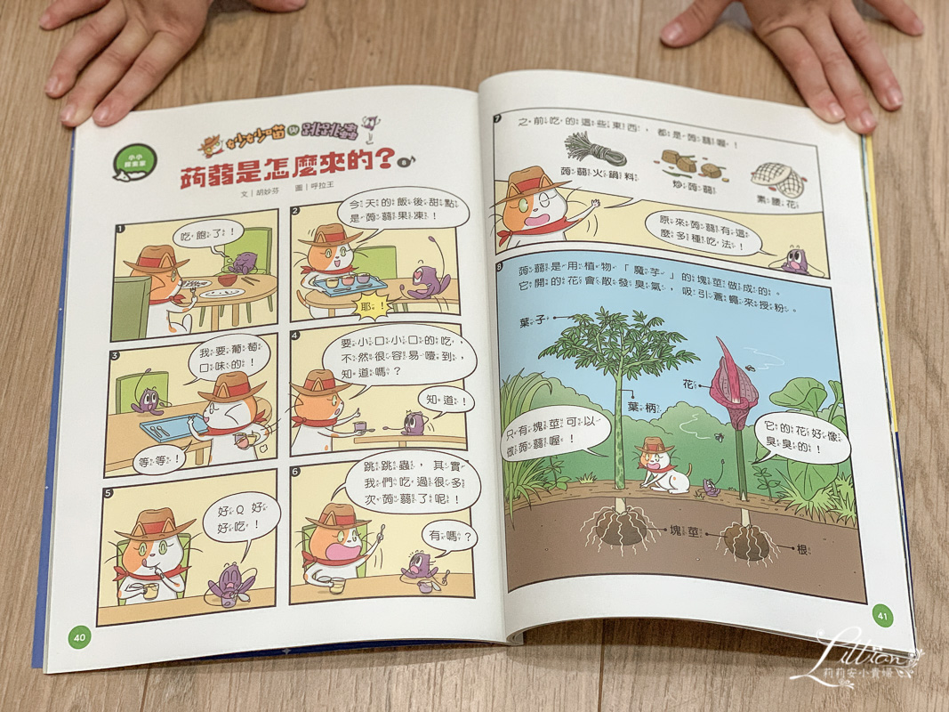 小行星幼兒誌評價, 小行星幼兒誌心得, 親子天下, 小行星幼兒誌年齡, 小行星幼兒誌團購, 小行星雜誌, 兒童雜誌推薦, 學齡前兒童雜誌推薦, 親子好物